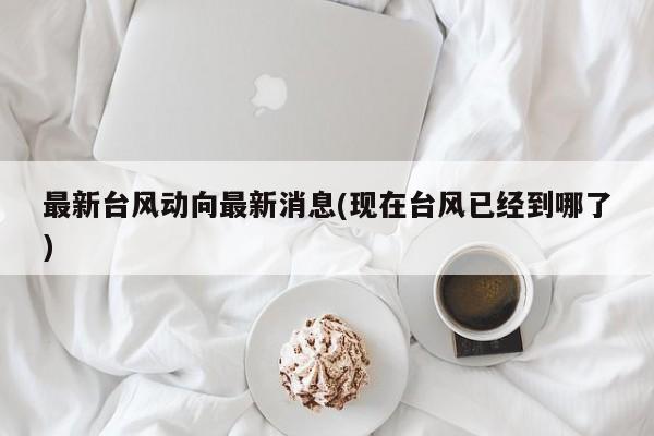 最新台风动向最新消息(现在台风已经到哪了) 第1张