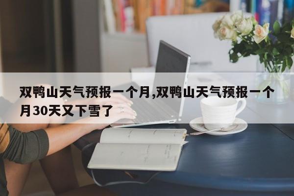 双鸭山天气预报一个月,双鸭山天气预报一个月30天又下雪了 第1张