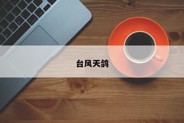 台风天鸽 第1张