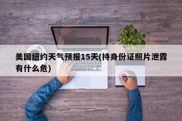 美国纽约天气预报15天(持身份证照片泄露有什么危) 第1张