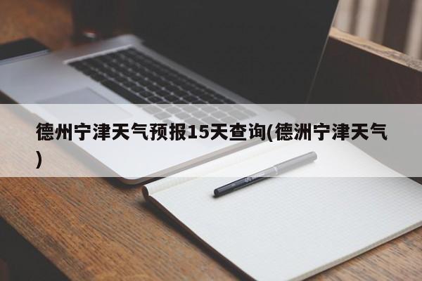 德州宁津天气预报15天查询(德洲宁津天气) 第1张