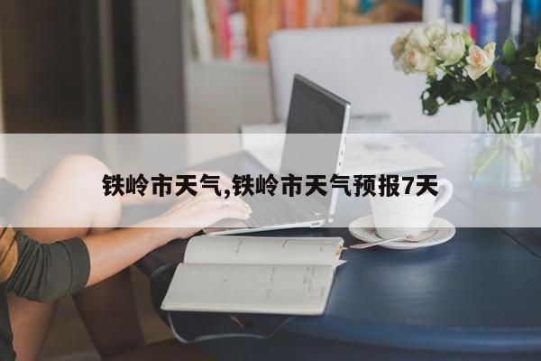 铁岭市天气,铁岭市天气预报7天 第1张