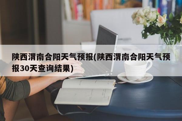 陕西渭南合阳天气预报(陕西渭南合阳天气预报30天查询结果) 第1张