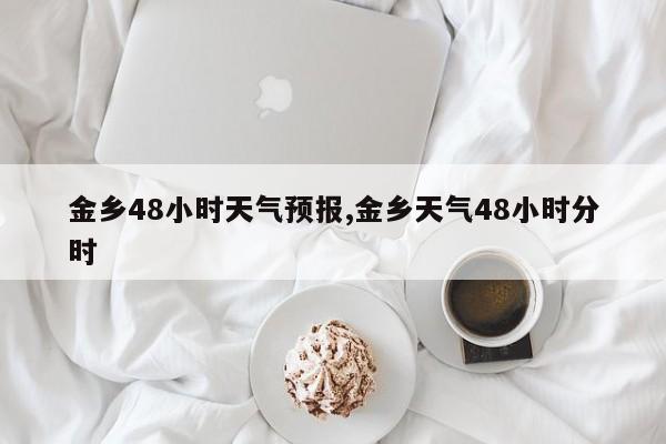 金乡48小时天气预报,金乡天气48小时分时 第1张