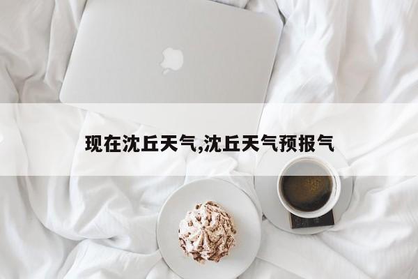 现在沈丘天气,沈丘天气预报气 第1张