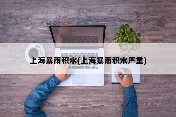 上海暴雨积水(上海暴雨积水严重) 第1张