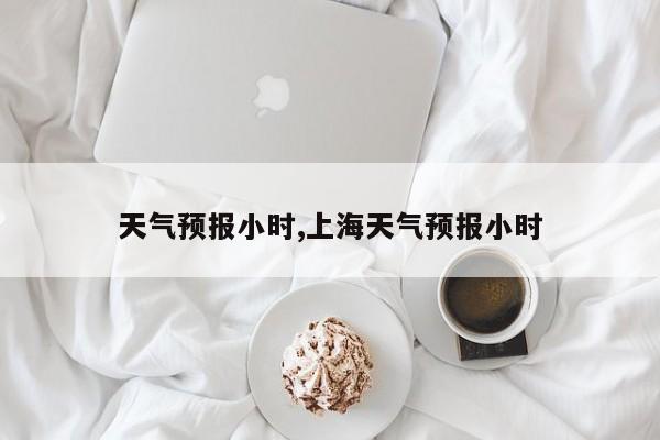 天气预报小时,上海天气预报小时 第1张